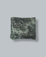 Load image into Gallery viewer, Jamila Ivy
